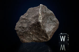 Lot #4010  Canyon Diablo Meteorite Collection - Image 5