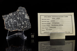 Lot #4005  NWA 11303 Lunar Meteorite Slice - Image 2
