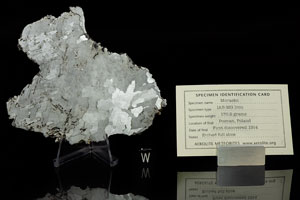 Lot #4021  Morasko Meteorite Slice - Image 2