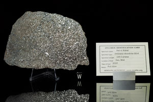 Lot #4011  Dar El Kahal Meteorite Slice - Image 2