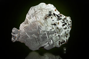 Lot #4027  Seymchan Meteorite Transitional Slice