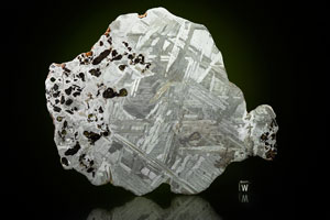 Lot #4027  Seymchan Meteorite Transitional Slice - Image 2