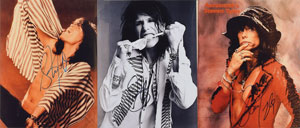 Lot #820  Aerosmith: Steven Tyler - Image 1