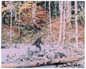 Lot #174  Bigfoot: Bob Gimlin