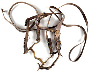 Lot #7064  Old Tucson Studios Tack Collection: Leather Saddle, Saddle Bags, and Bridle - Image 6