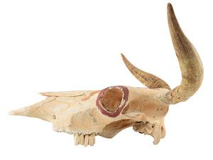 Lot #7060  Old Tucson Studios Painted Cattle Skull Prop - Image 4