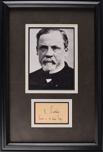 Lot #96 Louis Pasteur