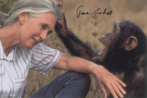 Lot #144 Jane Goodall - Image 1