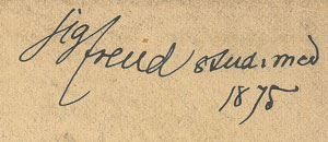 Lot #6032 Sigmund Freud Signature - Image 2