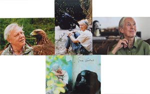 Lot #6096 Jane Goodall and David Attenborough Signed Photographs - Image 1