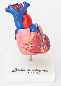 Lot #6083 Denton Cooley Signed Heart Model - Image 1