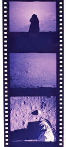 Lot #8226  Apollo 11 Roll of 70 mm Positives - Image 13