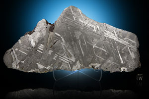 Lot #8020  Seymchan Siderite Meteorite Slice