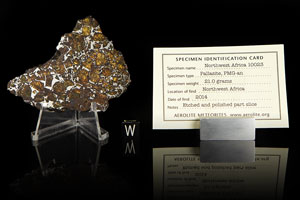 Lot #8006  NWA 10023 Pallasite Meteorite Slice - Image 1