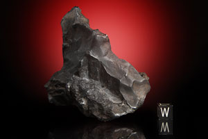 Lot #8022  Sikhote-Alin Iron Meteorite Whole Individual - Image 3