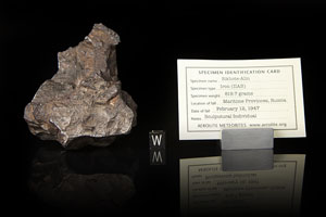 Lot #8022  Sikhote-Alin Iron Meteorite Whole Individual - Image 6