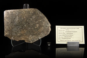 Lot #8005  El Tiro Chondrite Meteorite Slice - Image 3