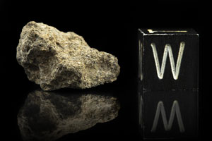 Lot #8016  NWA 7397 Martian Meteorite Fragment