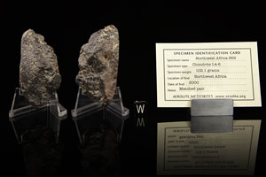 Lot #8018  NWA 869 Chondrite Meteorite Matched Pair - Image 3