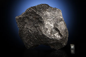 Lot #8001  Campo del Cielo Iron Meteorite Whole Individual - Image 2