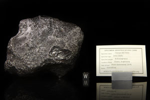 Lot #8001  Campo del Cielo Iron Meteorite Whole Individual - Image 4