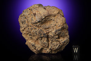 Lot #8023  Wolf Creek Iron Meteorite Whole Individual