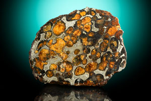 Lot #2136  Sericho Pallasite Meteorite End Cut