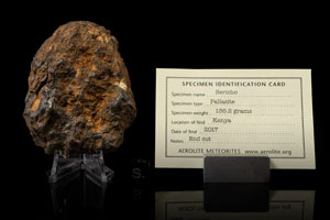 Lot #2136  Sericho Pallasite Meteorite End Cut - Image 2