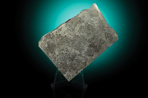 Lot #2135  Santa Rosa Iron Meteorite Partial Slice - Image 1