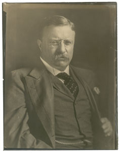 Lot #148 Theodore Roosevelt - Image 1