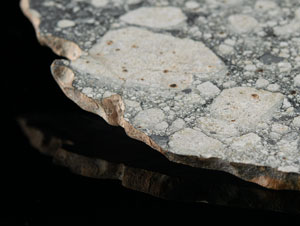 Lot #8001  Northwest Africa 5000 Lunar Meteorite Slice - Image 4