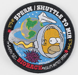 Lot #8617  Space Shuttle Homer Simpson Biorack Patch
