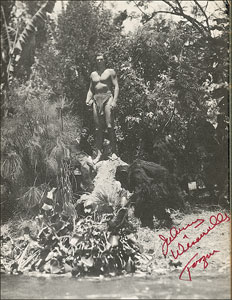 Lot #665  Tarzan - Image 5
