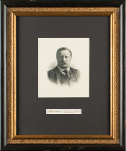 Lot #45 Theodore Roosevelt