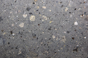 Lot #2413  Northwest Africa (NWA) 8559 (Howardite) Meteorite - Image 4