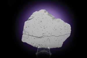 Lot #2450  Dronino Meteorite Full Slice - Image 2