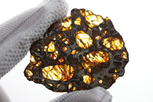 Lot #2444  Northwest Africa (NWA) 10023 Pallasite Meteorite - Image 3