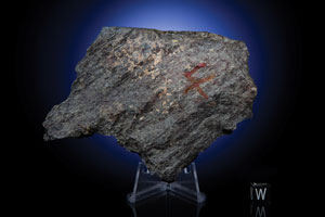 Lot #2455  Northwest Africa (NWA) 869 Meteorite