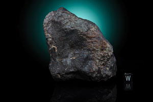 Lot #2456  Northwest Africa (NWA) 869 Meteorite