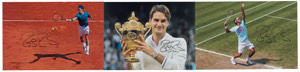 Lot #4273 Roger Federer