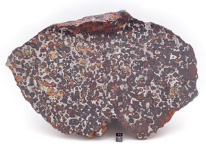 Lot #4571  Sericho Meteorite