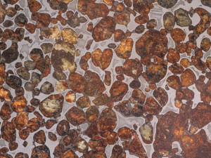 Lot #4571  Sericho Meteorite - Image 3