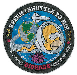 Lot #4400  Space Shuttle Homer Simpson Biorack Patch - Image 1