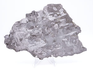 Lot #4574  Campo del Cielo Iron Meteorite Slice - Image 1