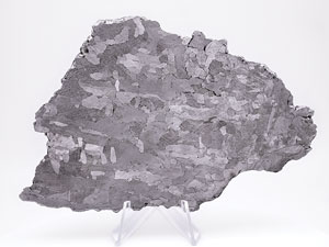Lot #4574  Campo del Cielo Iron Meteorite Slice - Image 3