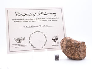 Lot #4585  NWA 11081 Eucrite Meteorite End Cut - Image 2