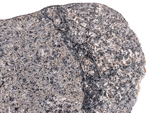 Lot #4585  NWA 11081 Eucrite Meteorite End Cut - Image 3