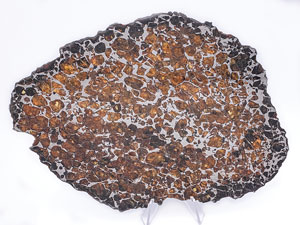 Lot #4573  Brahin Pallasite Meteorite Full Slice - Image 1