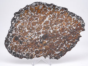 Lot #4573  Brahin Pallasite Meteorite Full Slice - Image 2