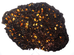 Lot #4573  Brahin Pallasite Meteorite Full Slice - Image 4
